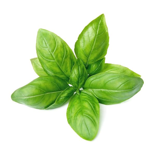 Fresh herbs
